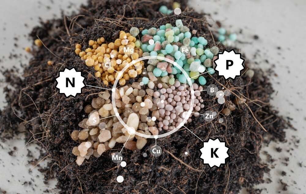 NPK Ratio on soil