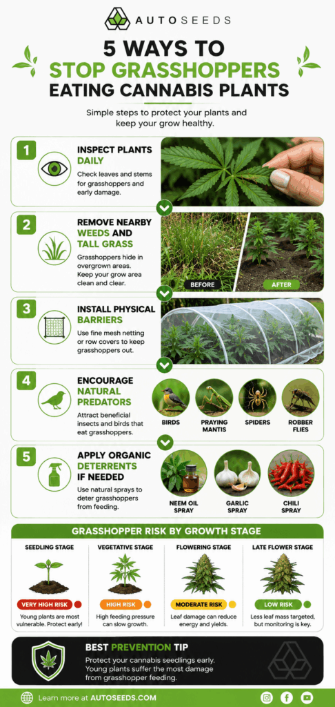 grasshopper prevent guide