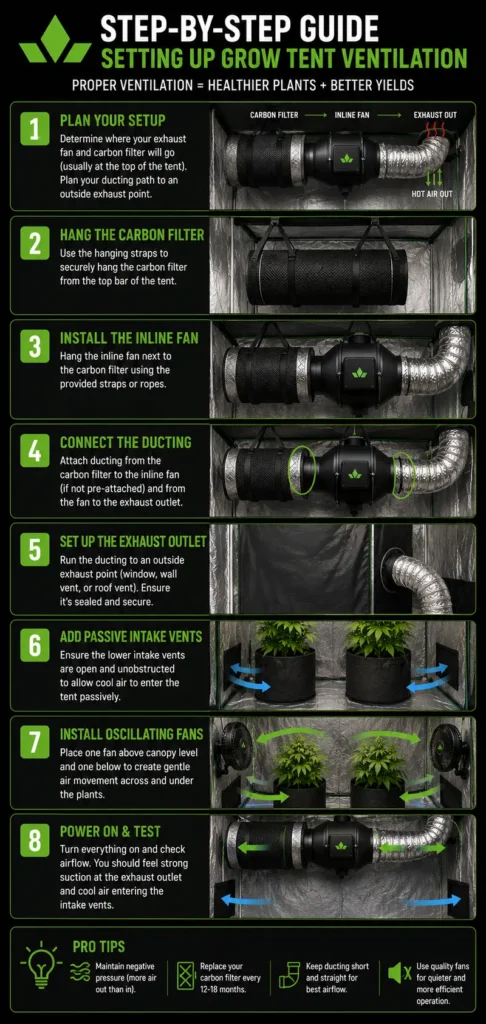 step by step guide on cannabis grow tent