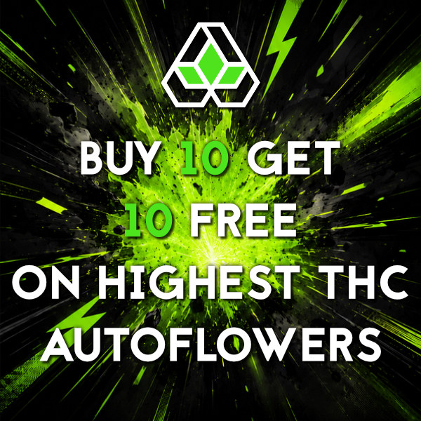 Auto Seeds Sale