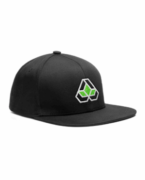 AUTOSEEDS SNAPBACK