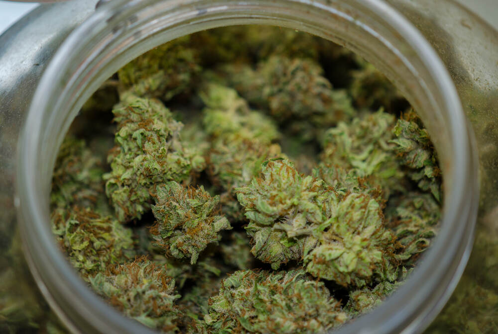 autoflower bud curing in a jar