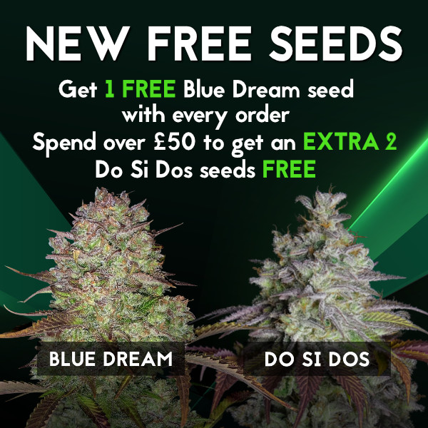 New Free Seeds