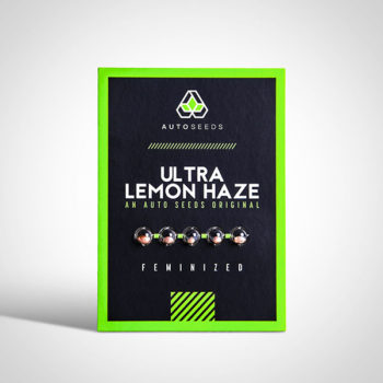 Ultra Lemon Haze Seeds