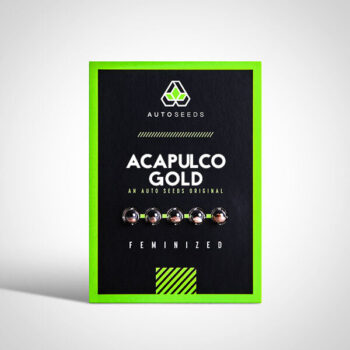 Acapulco Gold Autoflowering Seeds Packaging