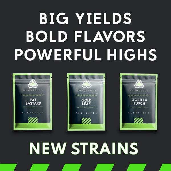 New Strains Release