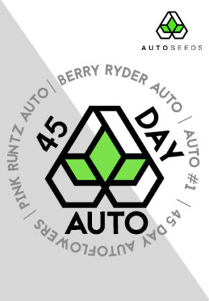 45 Day Auto variety pack