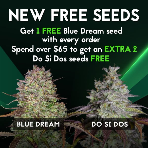 New Free Seeds