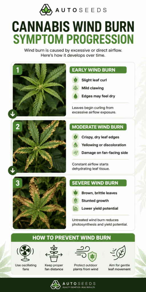 wind burn symptom progression chart