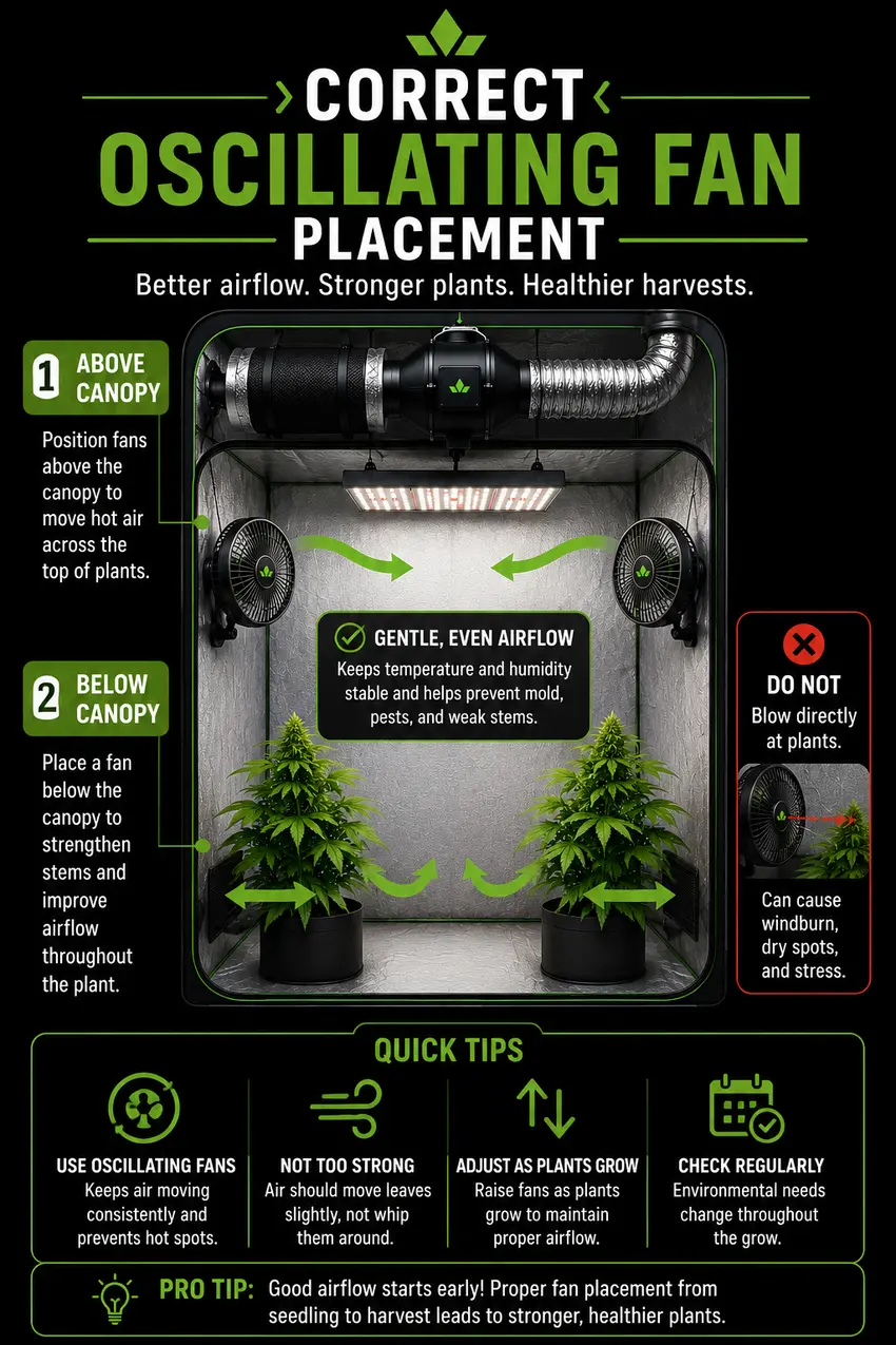 oscillating fan placement infographic